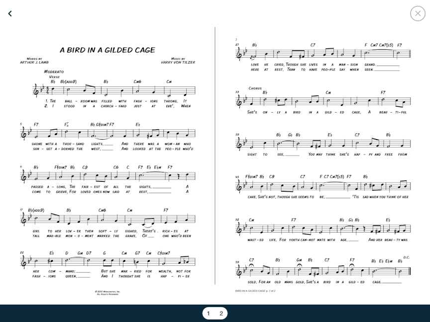 Song Viewer_988x1532_iPad Multi-Page View.PNG